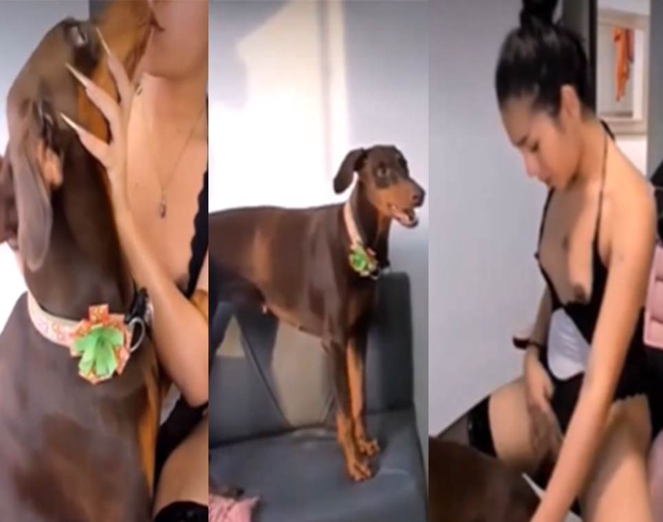 主播开着直播让狗狗操自己