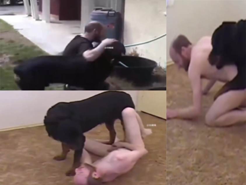 人兽系列狗老公插进去里面