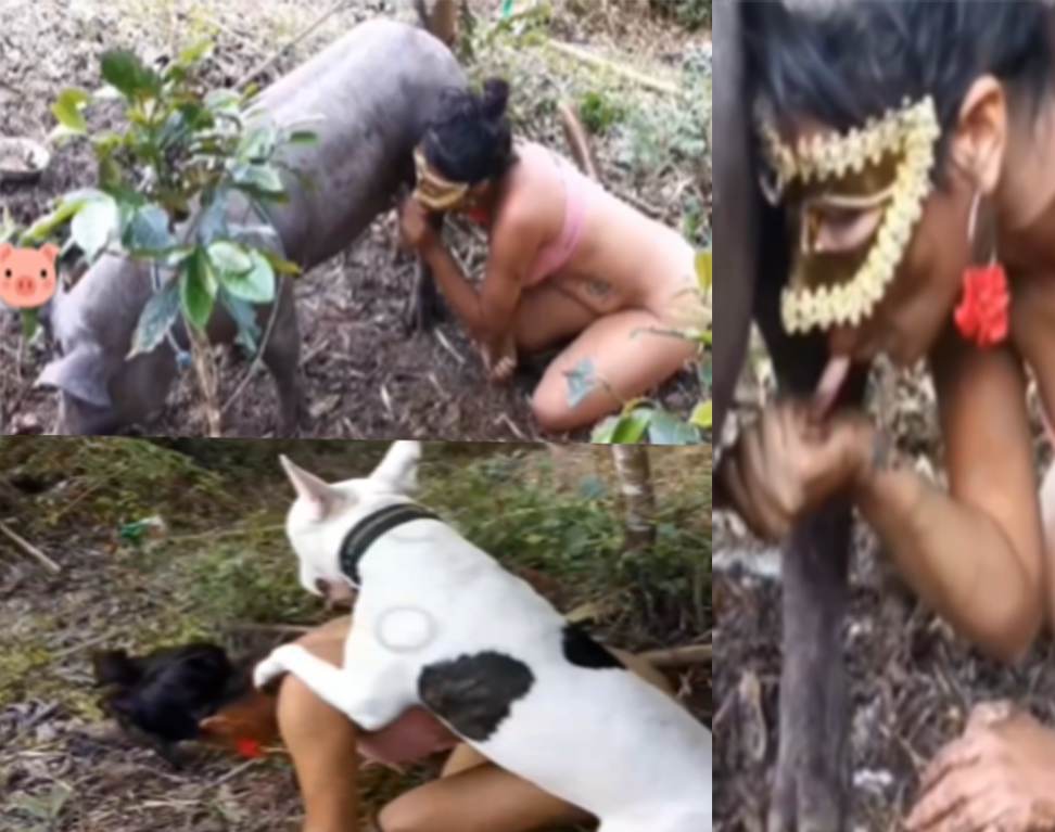 野外大杂交伺候完猪伺候狗