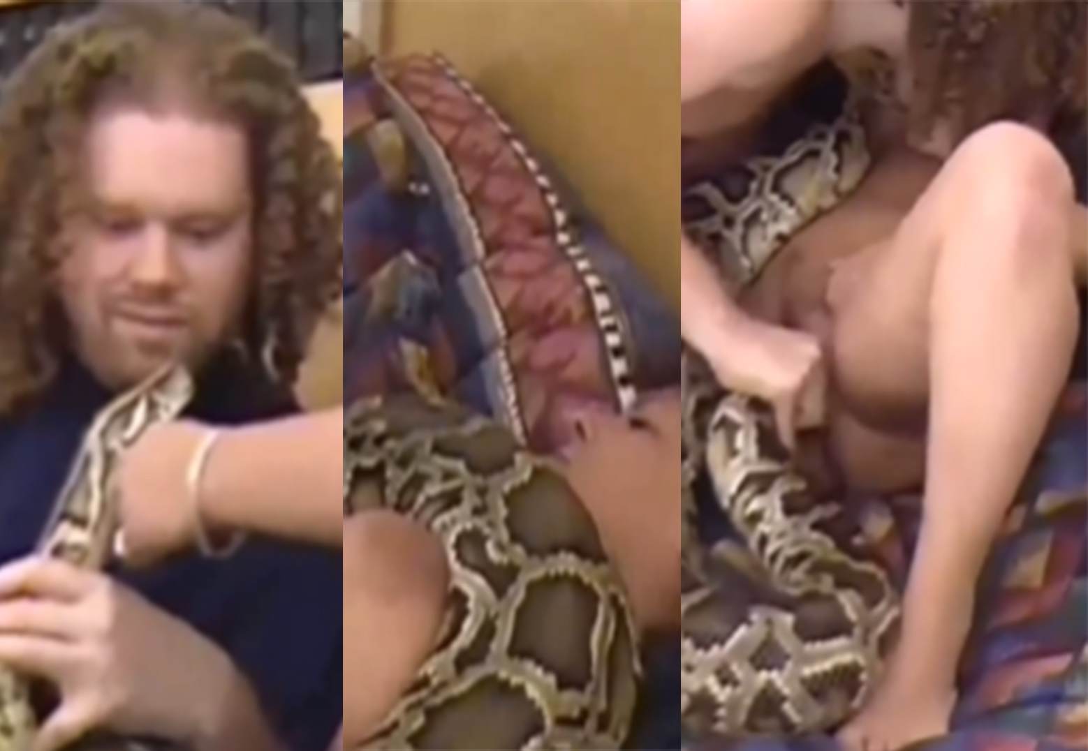 人蛇情未了夫妻特殊口味