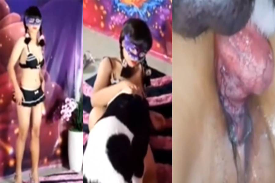 人兽系列留学生美玲诱惑狗狗后入干自己还内射