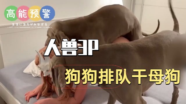 人兽3P狗狗排队干母狗