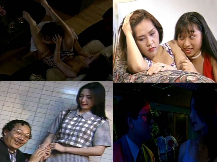 新星星月亮太阳