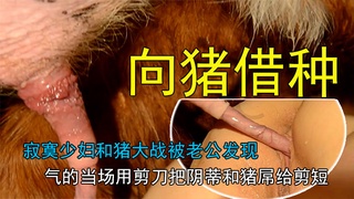 寂寞少妇老公不在家偷偷找猪哥借种消瘾