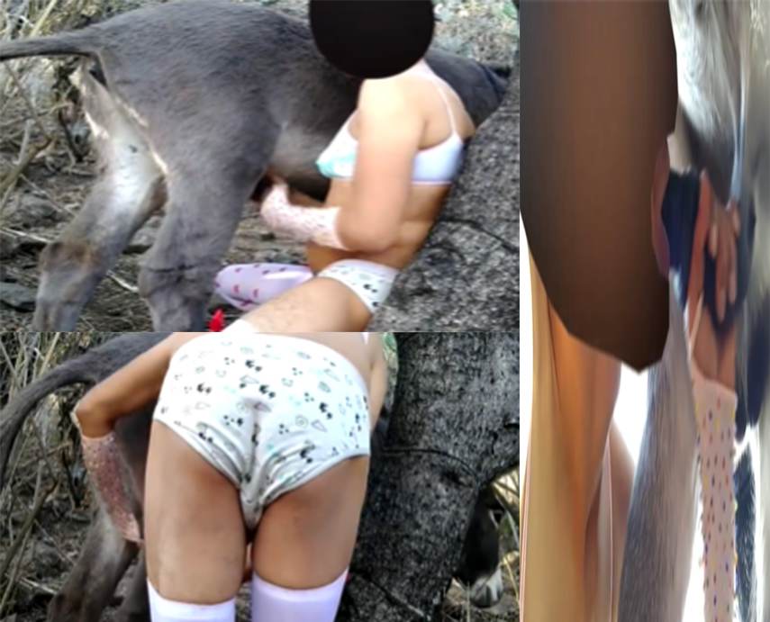 美女在野外吮吸洋洋的大鸡巴