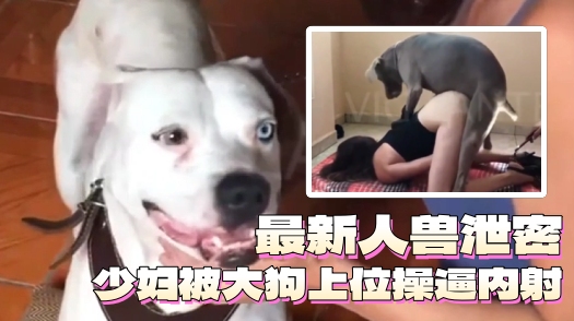 少妇被狗狗上位操逼内射