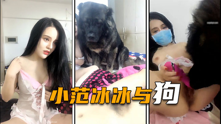 【小范冰冰】人兽大战巨型犬给女神舔逼