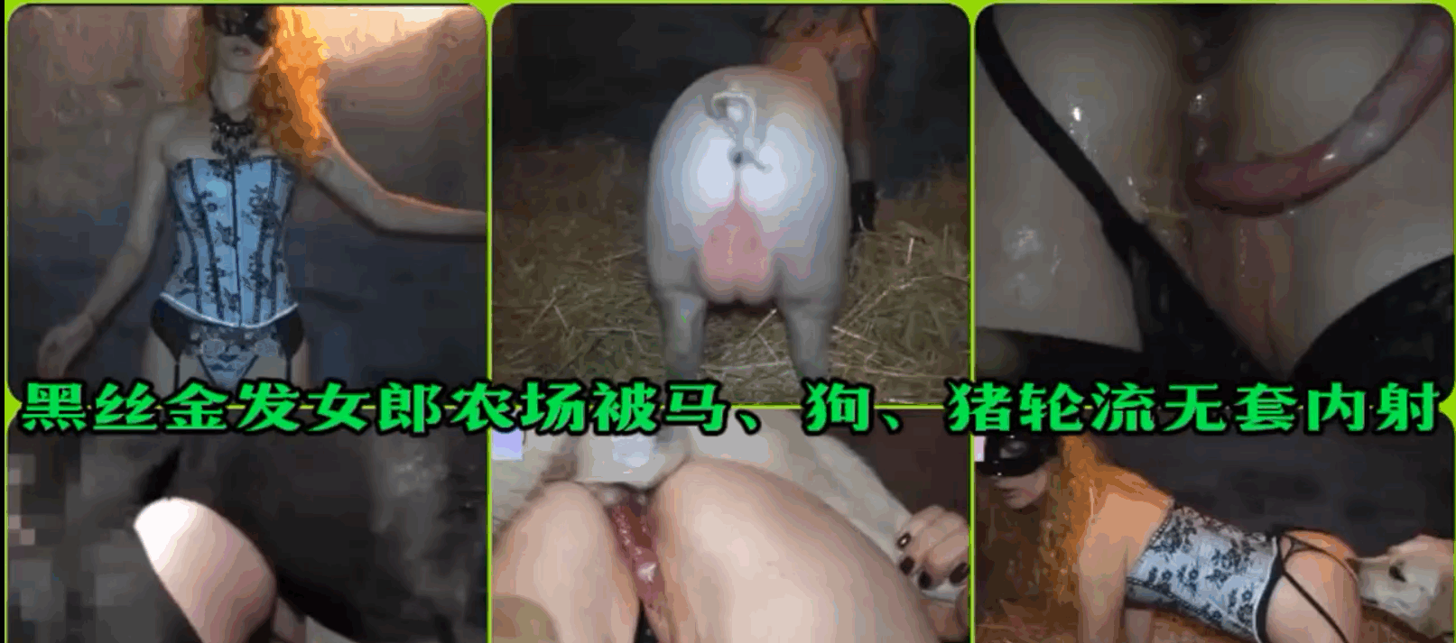 【稀缺人兽资源小合集】公马公猪公狗轮操