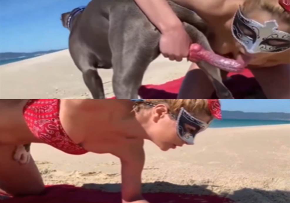 老婆与狗狗丈夫全程监控