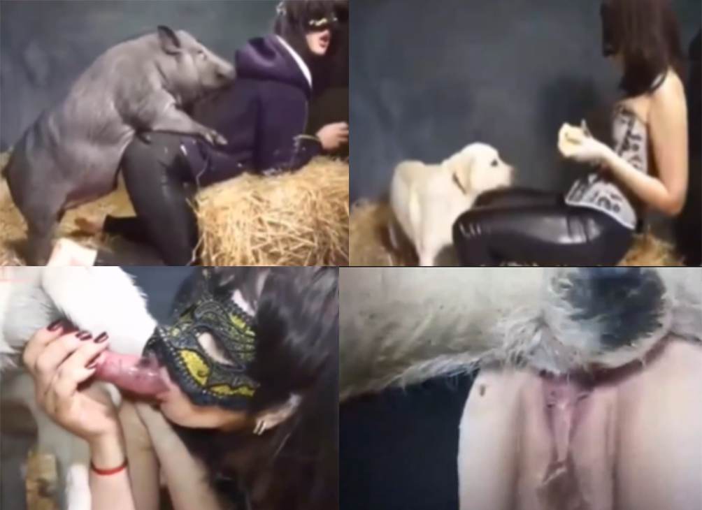 寂寞少妇在猪圈被两条狗一头猪群交内射太重口还被内射