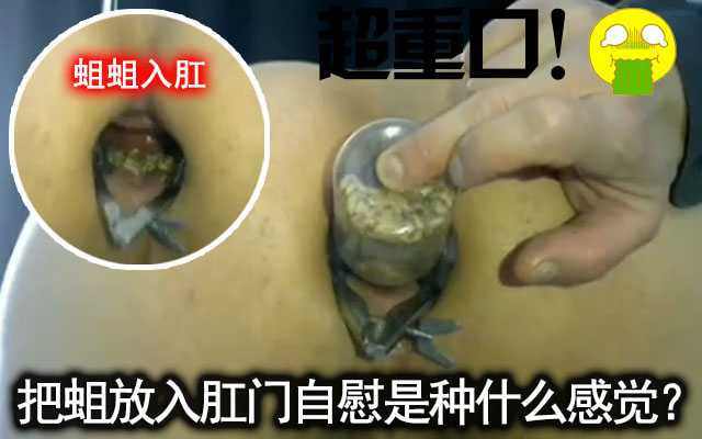 重口慎入大胆伪娘把一罐蛆塞入肛门感受蠕动的自慰感觉