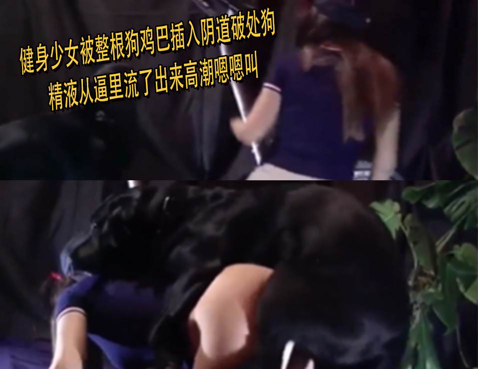 健身少女被整根狗鸡巴插入阴道破处狗精液从逼里流了出来高潮嗯嗯叫