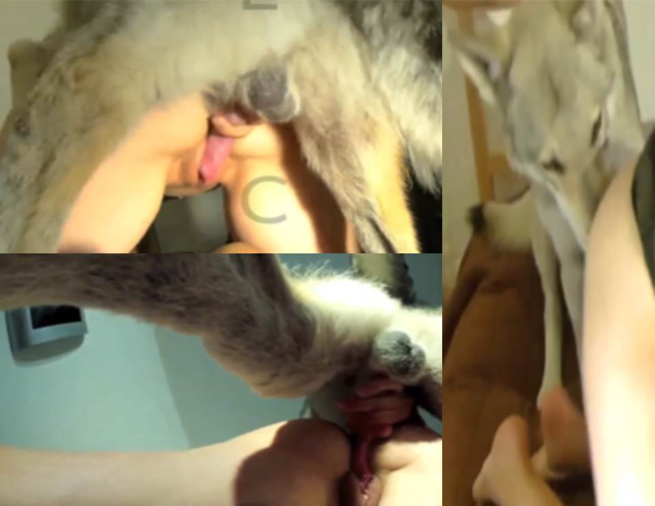 18岁少女被狼强奸床上看色情书发骚被狼撞见扑上去就一顿猛操