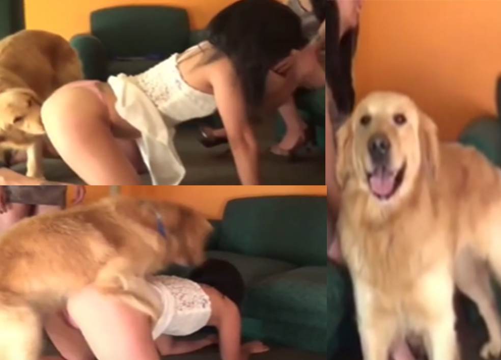 高清人兽大战之闺蜜被狗爆操