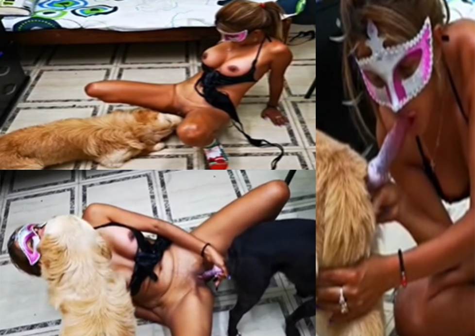 高清人兽大片和狗