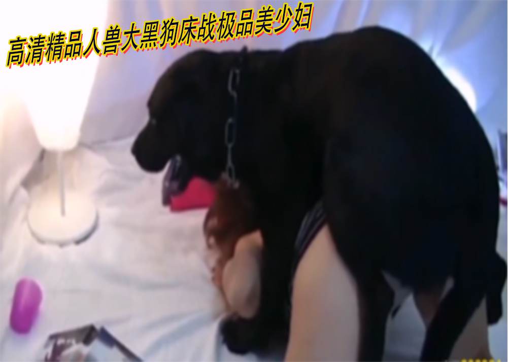 高清精品人兽大黑狗床战极品美少妇