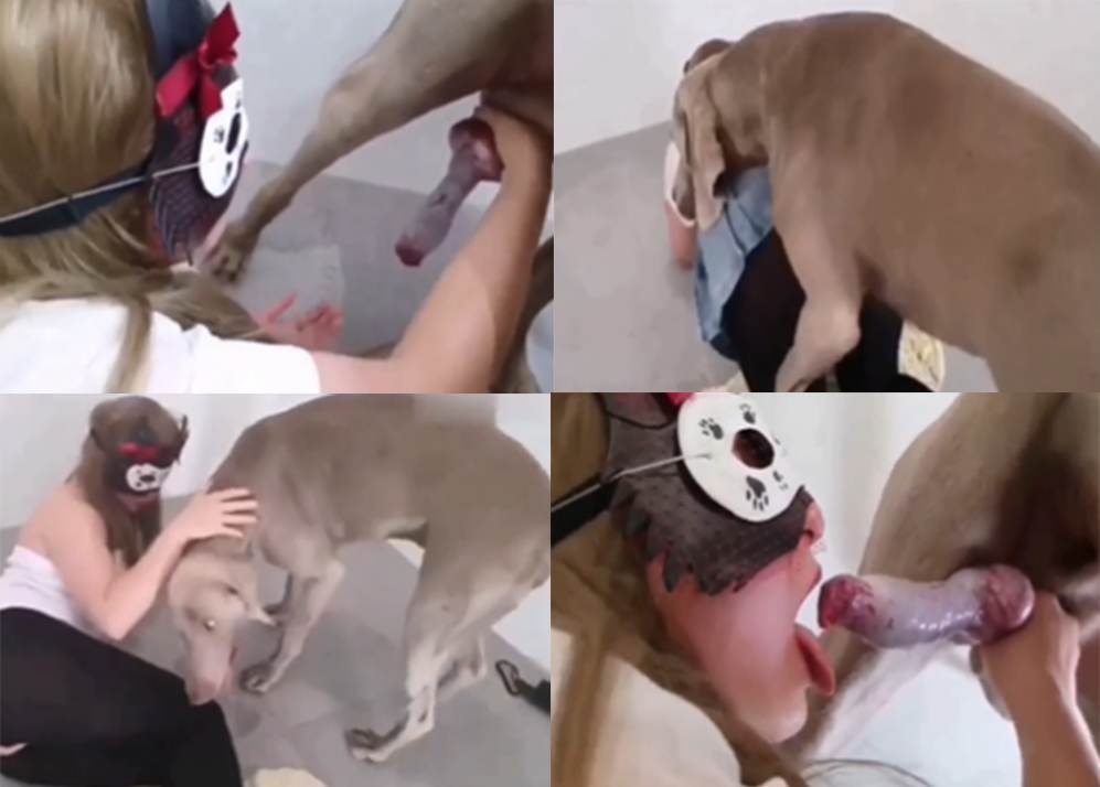 大战狂舔狗屌被内射