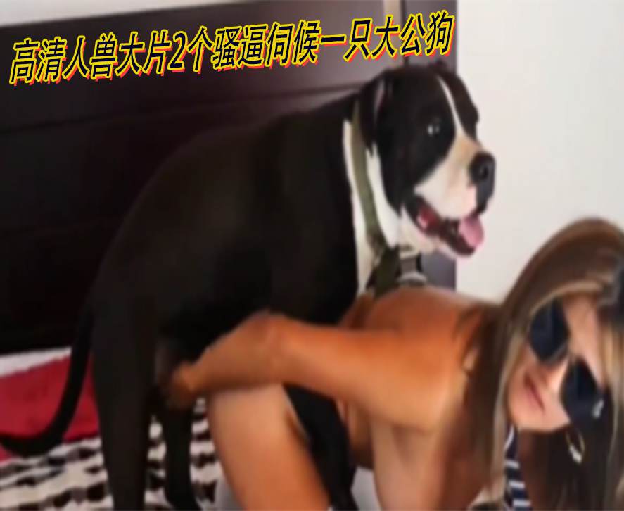 高清人兽大片2个骚逼伺候一只大公狗