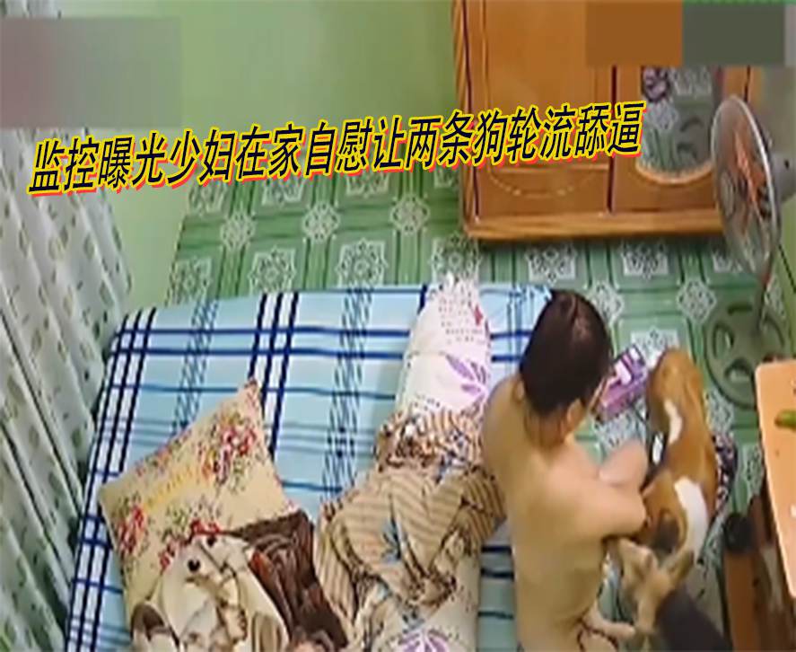 错过后悔啊监控曝光少妇在家自慰让两条狗轮流舔逼